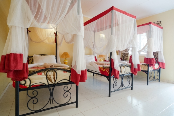 Hotel Springlands (Moshi)